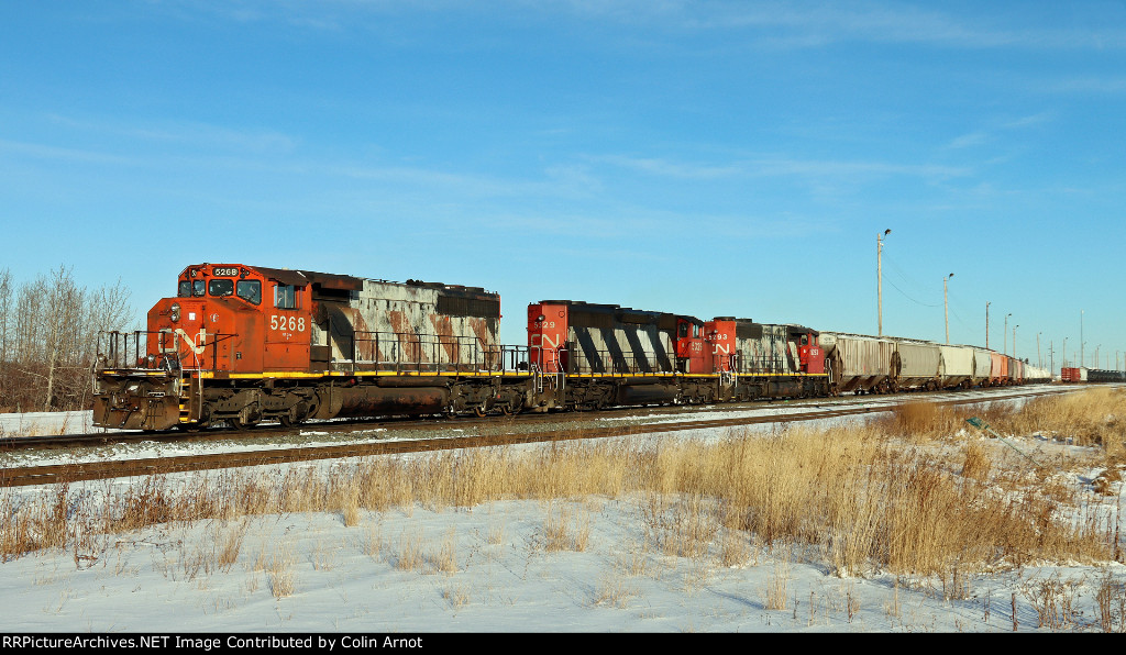 CN 5368